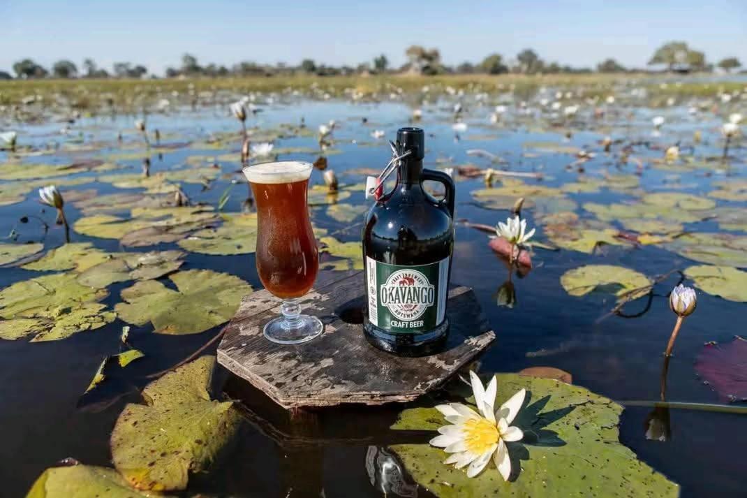 Jayla Homestay Maun Dış mekan fotoğraf